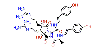 Anchinopeptolide C